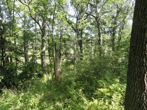 Tiny photo for Parcel 66 Glacier Lake Drive, Oxford, WI 53952 (MLS # 1983622)