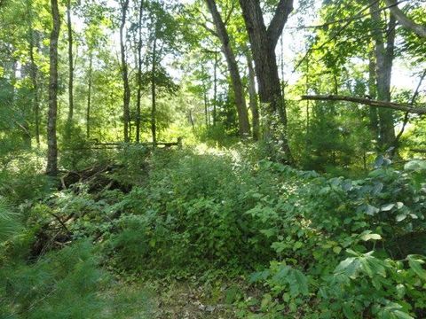 Tiny photo for Parcel 66 Glacier Lake Drive, Oxford, WI 53952 (MLS # 1983622)