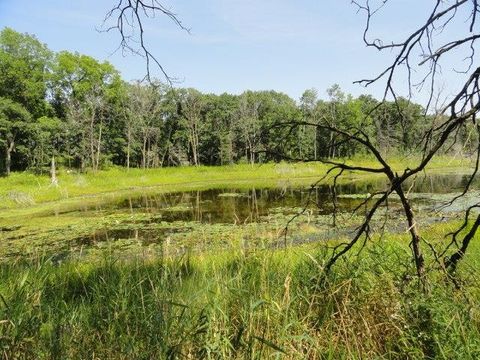 Tiny photo for Parcel 66 Glacier Lake Drive, Oxford, WI 53952 (MLS # 1983622)