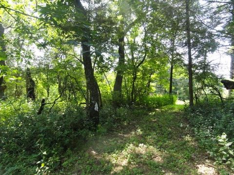 Tiny photo for Parcel 66 Glacier Lake Drive, Oxford, WI 53952 (MLS # 1983622)