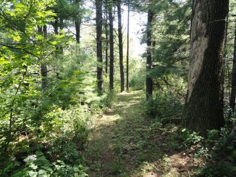 Tiny photo for Parcel 66 Glacier Lake Drive, Oxford, WI 53952 (MLS # 1983622)