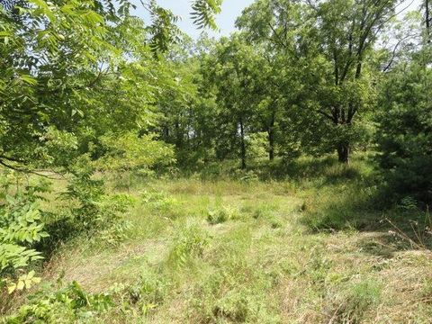 Tiny photo for Parcel 66 Glacier Lake Drive, Oxford, WI 53952 (MLS # 1983622)