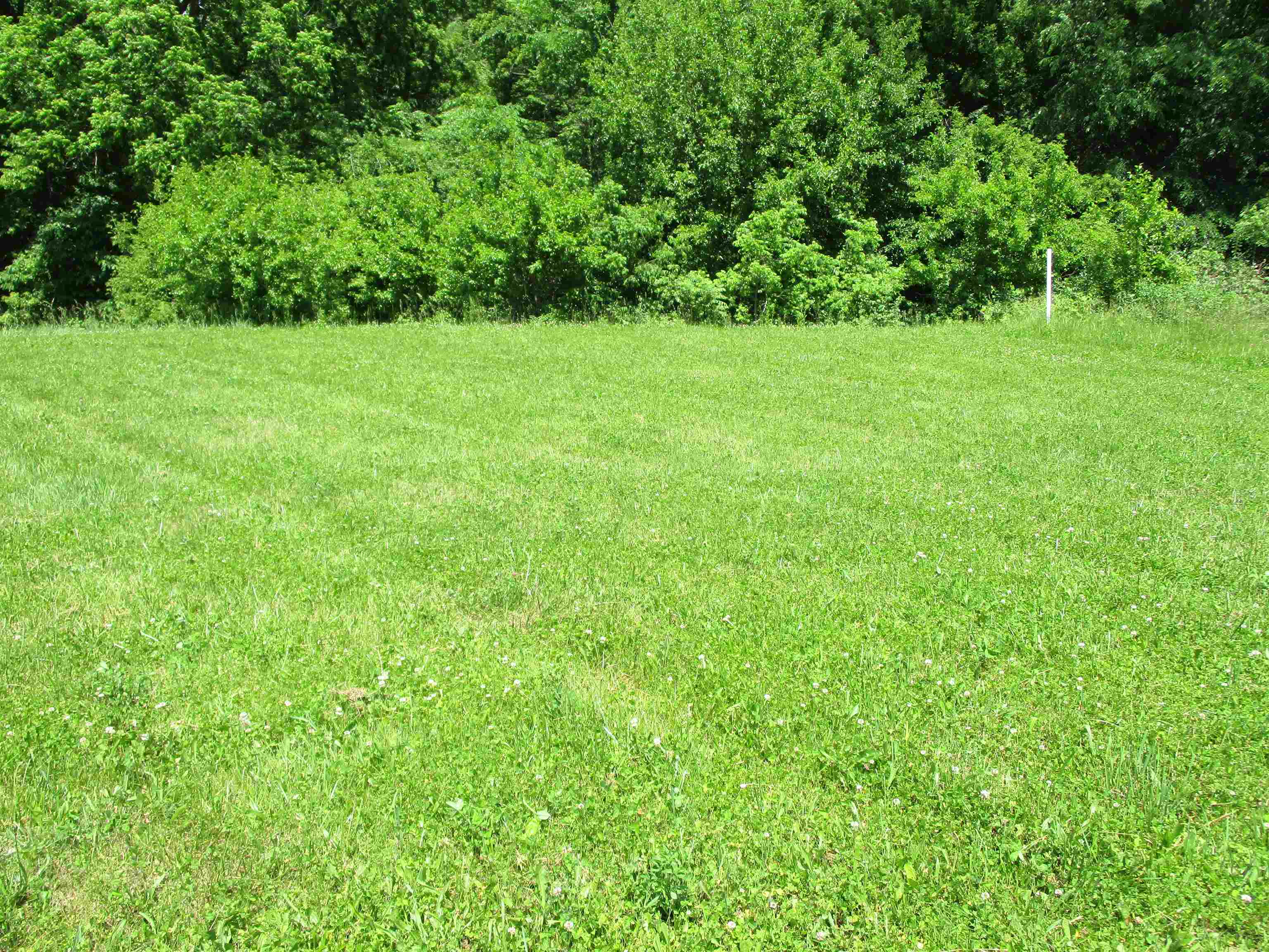 lot 46 Terrier Drive - Photo 3