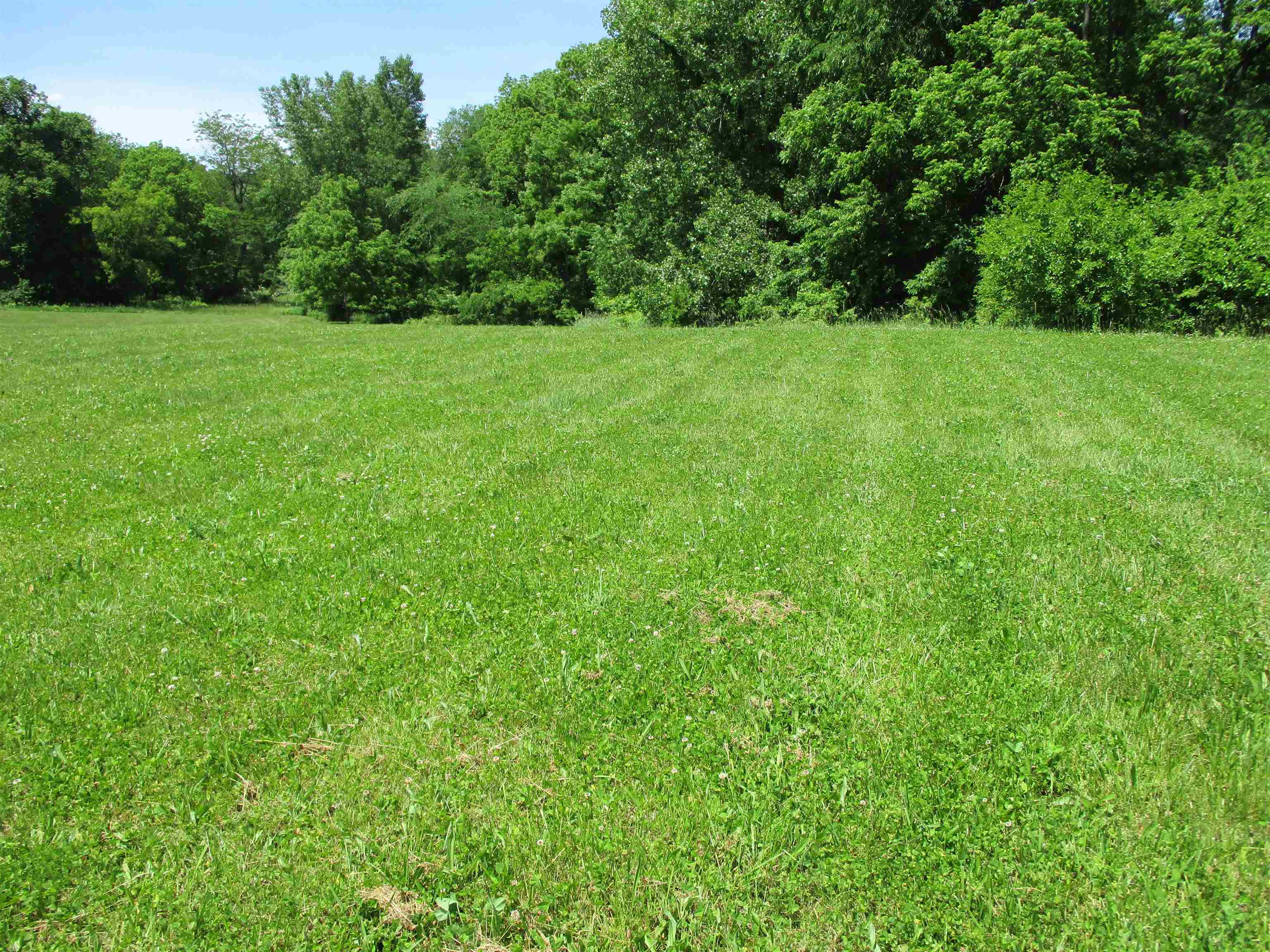 lot 46 Terrier Drive - Photo 4