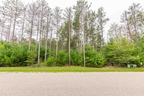 Tiny photo for L21 W 11th Drive, Friendship, WI 53934 (MLS # 1884237)