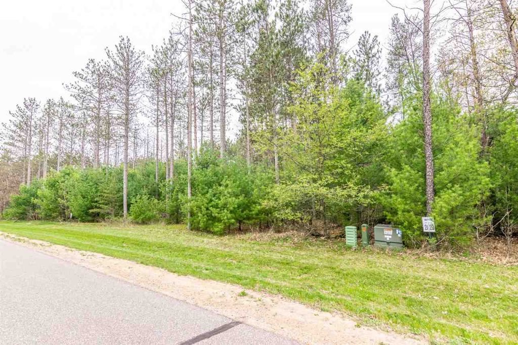 Photo for L21 W 11th Drive, Friendship, WI 53934 (MLS # 1884237)