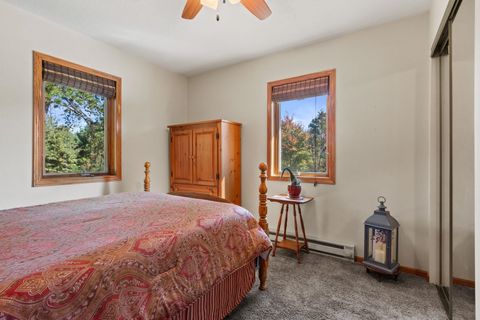 Tiny photo for 859 6th Avenue, Hancock, WI 54943 (MLS # 2010625)