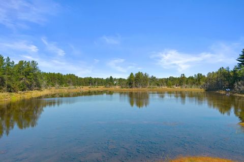 Tiny photo for 859 6th Avenue, Hancock, WI 54943 (MLS # 2010625)