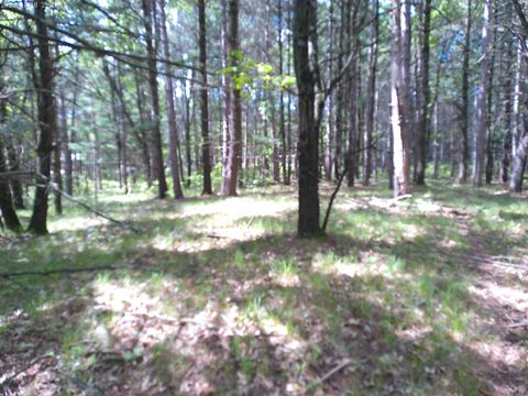 Tiny photo for 227 9th Avenue, Nekoosa, WI 54457 (MLS # 1978730)