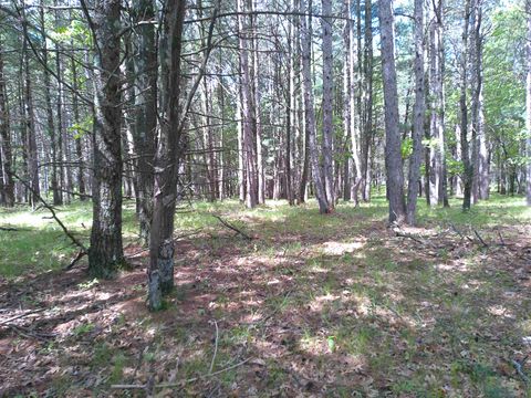 Tiny photo for 227 9th Avenue, Nekoosa, WI 54457 (MLS # 1978730)