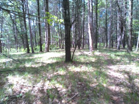 Tiny photo for 227 9th Avenue, Nekoosa, WI 54457 (MLS # 1978730)