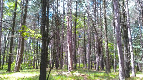 Tiny photo for 227 9th Avenue, Nekoosa, WI 54457 (MLS # 1978730)