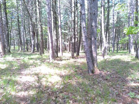 Tiny photo for 227 9th Avenue, Nekoosa, WI 54457 (MLS # 1978730)