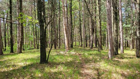 Tiny photo for 227 9th Avenue, Nekoosa, WI 54457 (MLS # 1978730)