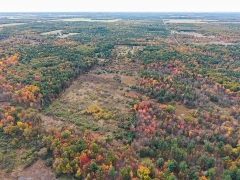 Tiny photo for 930 Dyke Avenue, Adams, WI 53910 (MLS # 2010825)