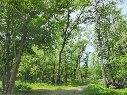 Photo of 2284 15th Drive, Friendship, WI 53934 (MLS # 2003227)