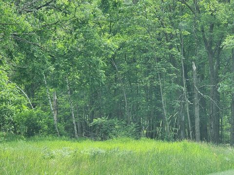 Tiny photo for 2284 15th Drive, Friendship, WI 53934 (MLS # 2003227)