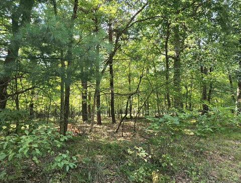 Photo of Lot 6 Aspen Drive, Hancock, WI 53934 (MLS # 2031662)