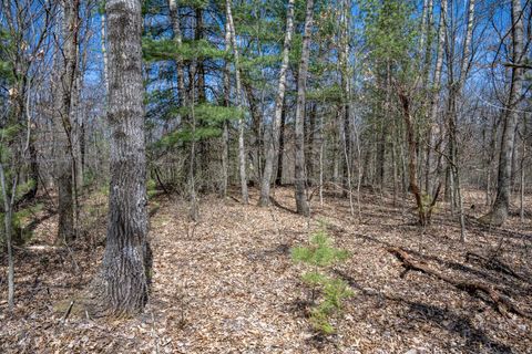 Tiny photo for 1142 Fawn Court, Grand Marsh, WI 53936 (MLS # 2012848)