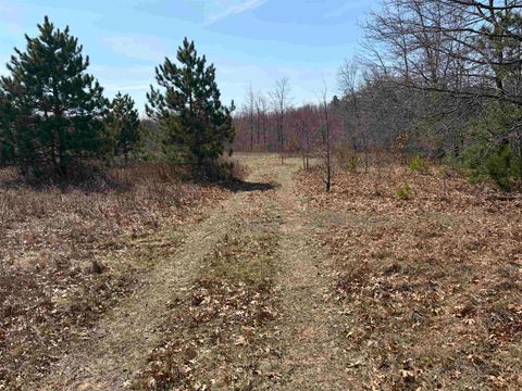 Photo of 40 acres Town Hall Road, Lyndon Station, WI 53944 (MLS # 2020263)