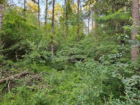 Tiny photo for 00 Gale Court, Wisconsin Dells, WI 53965 (MLS # 2005328)