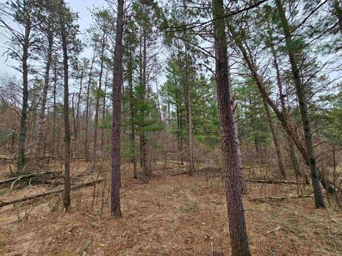 Tiny photo for 00 Gale Court, Wisconsin Dells, WI 53965 (MLS # 2005328)