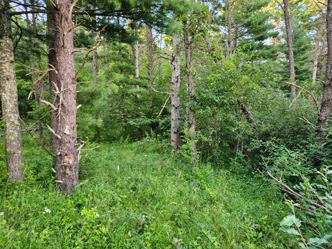 Tiny photo for 00 Gale Court, Wisconsin Dells, WI 53965 (MLS # 2005328)