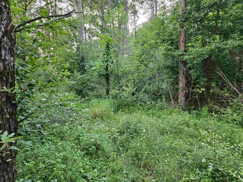 Tiny photo for 00 Gale Court, Wisconsin Dells, WI 53965 (MLS # 2005328)