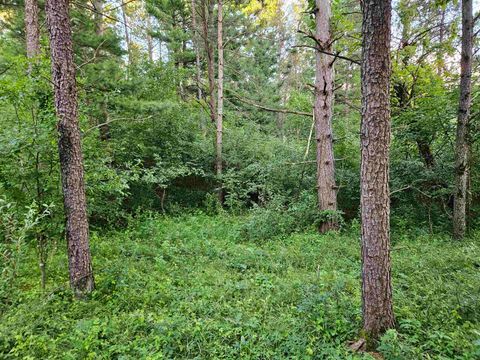 Tiny photo for 00 Gale Court, Wisconsin Dells, WI 53965 (MLS # 2005328)