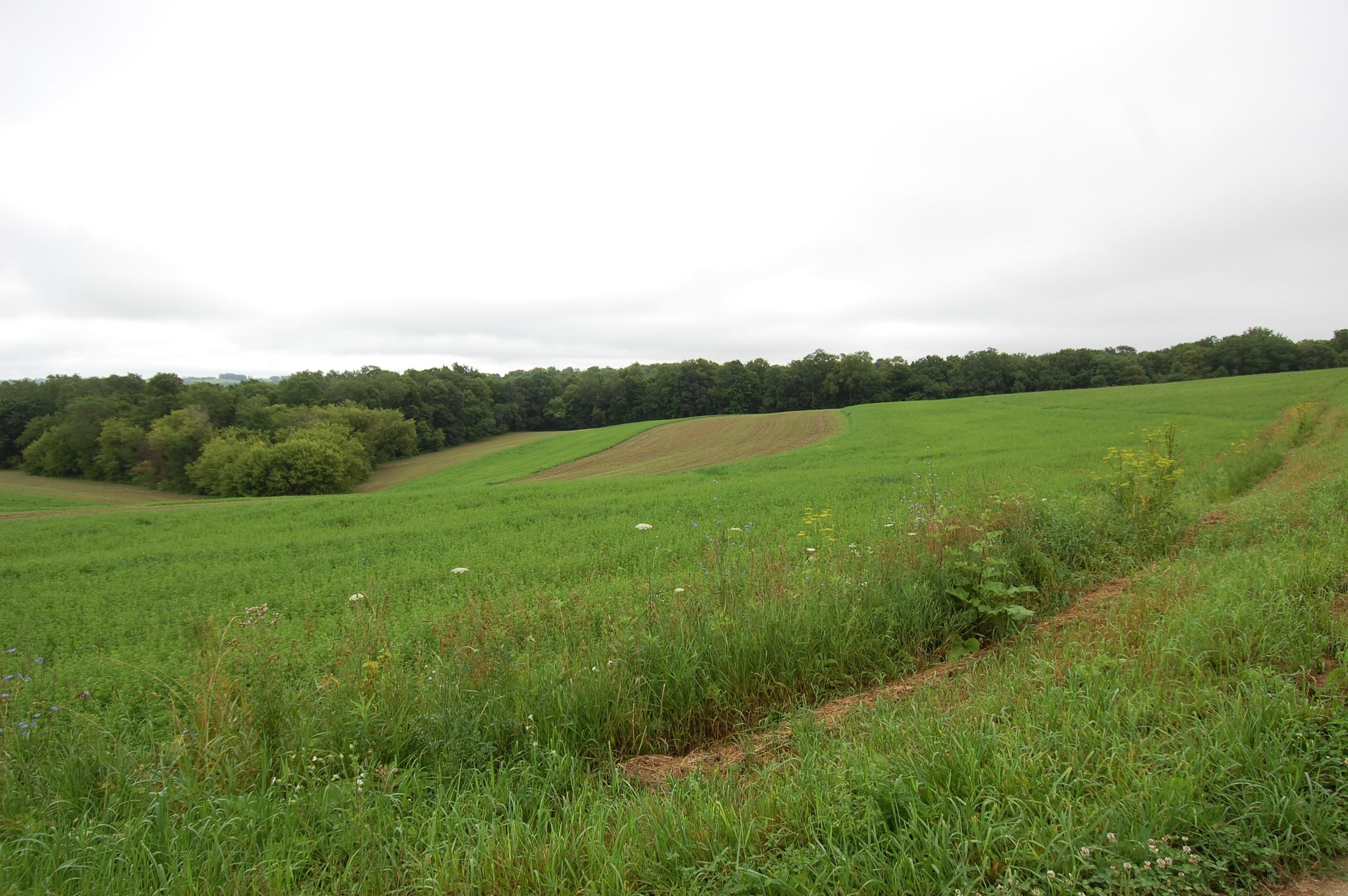999 Halverson Ridge Road