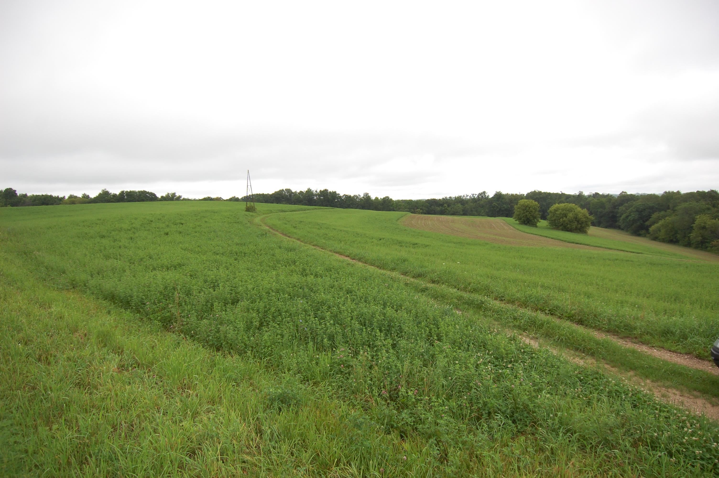 999 Halverson Ridge Road
