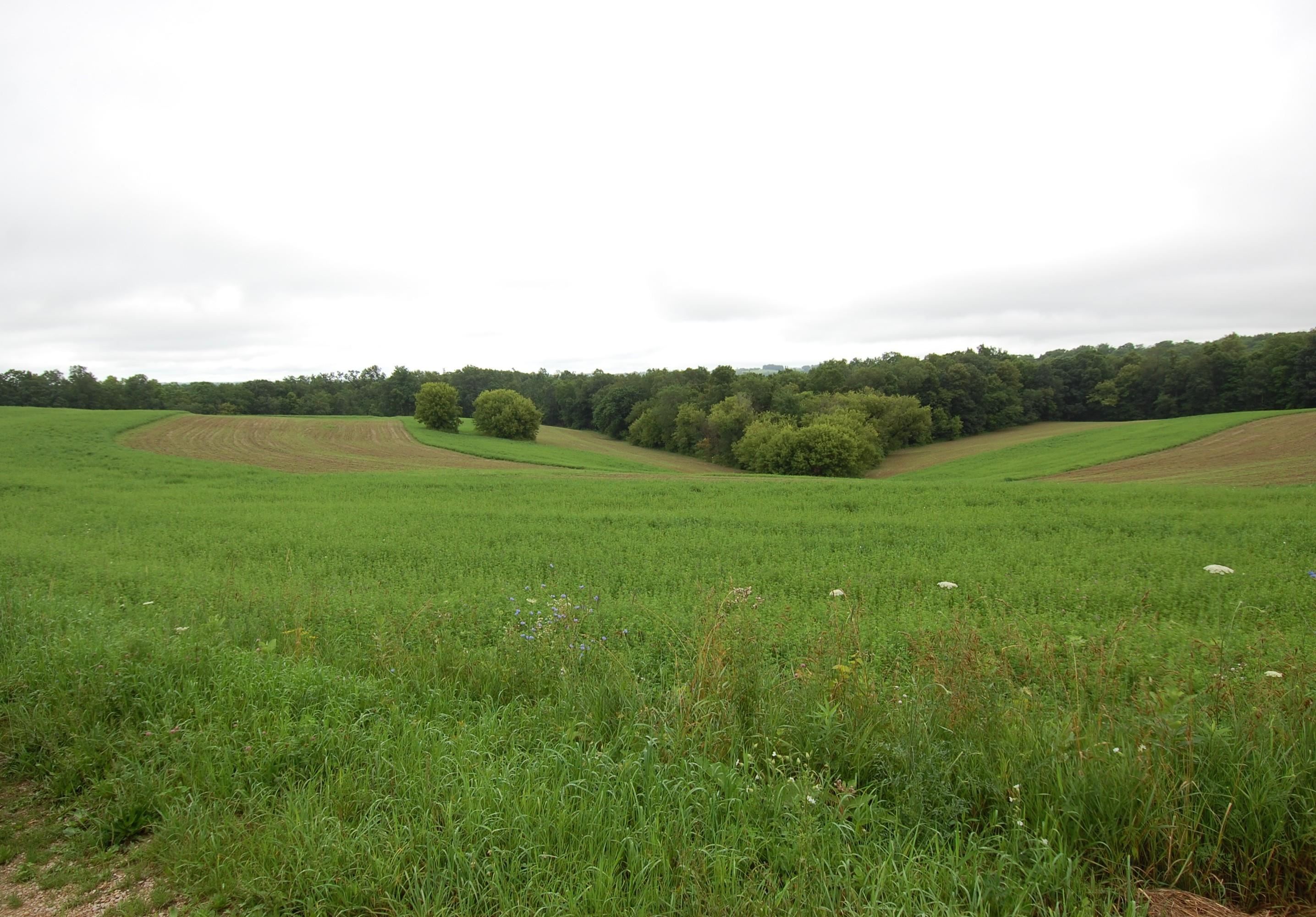 999 Halverson Ridge Road
