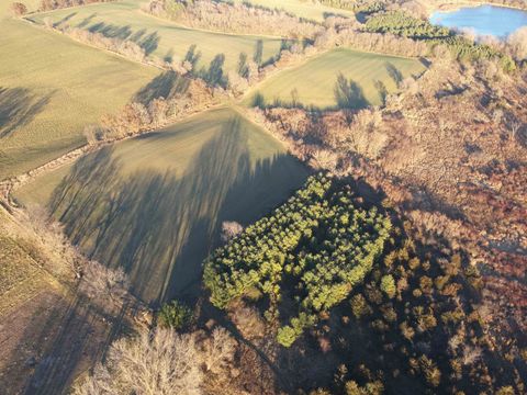 Tiny photo for 92+/- acres State Road 49 Acres, Green Lake, WI 54941 (MLS # 2012907)