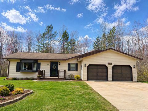 Photo of 1145 Woodland Drive, Rhinelander, WI 54501 (MLS # 2021898)