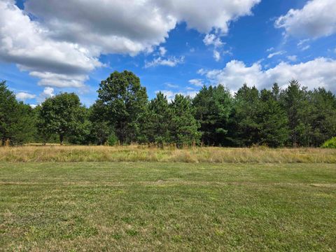 Tiny photo for 942 13th Avenue, Arkdale, WI 54613 (MLS # 2007496)