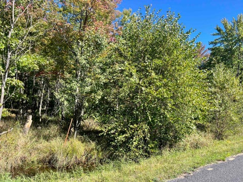 Photo of 932 Beaver Avenue, Hancock, WI 54930 (MLS # 2033277)