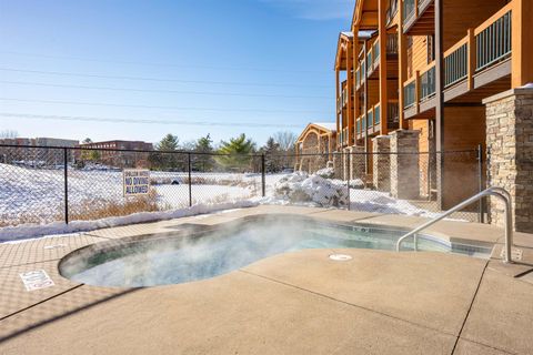 Tiny photo for 2504 River Road 7206 #7206, Wisconsin Dells, WI 53965 (MLS # 2013483)