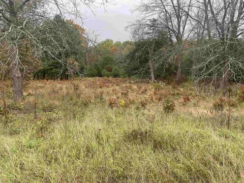 Photo of Lot 4 Sandcrest Lane, Princeton, WI 54968 (MLS # 2010926)