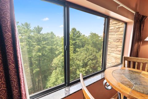 Tiny photo for 2411 River Road 2637 #2637, Wisconsin Dells, WI 53965 (MLS # 2005282)