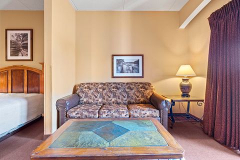 Tiny photo for 2411 River Road 2637 #2637, Wisconsin Dells, WI 53965 (MLS # 2005282)