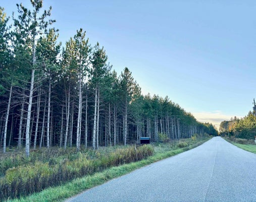 PLANTATION RD, PELICAN LAKE, WI 54463 - Image 8143e01b9dead56571fd6977d3b24ffb/2765764872
