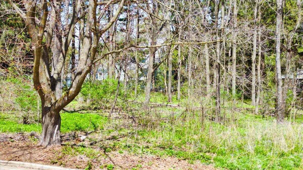 10 Larch Circle