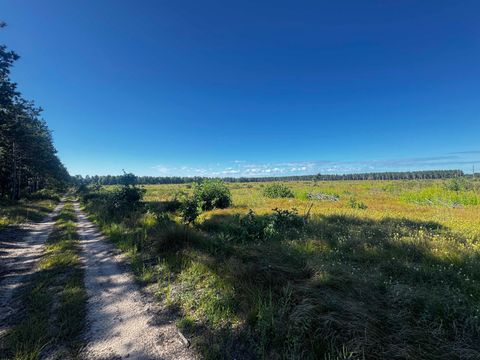 Tiny photo for 40 AC Akron Dr Acres, Nekoosa, WI 54457 (MLS # 2009952)