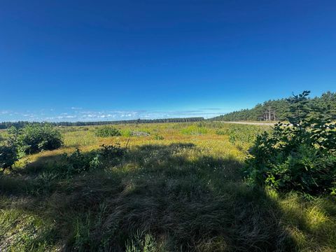Tiny photo for 40 AC Akron Dr Acres, Nekoosa, WI 54457 (MLS # 2009952)