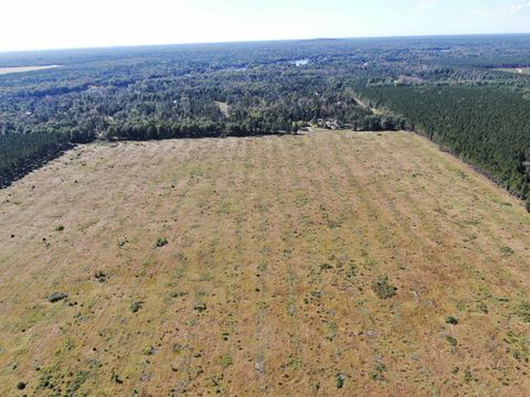 Tiny photo for 40 AC Akron Dr Acres, Nekoosa, WI 54457 (MLS # 2009952)