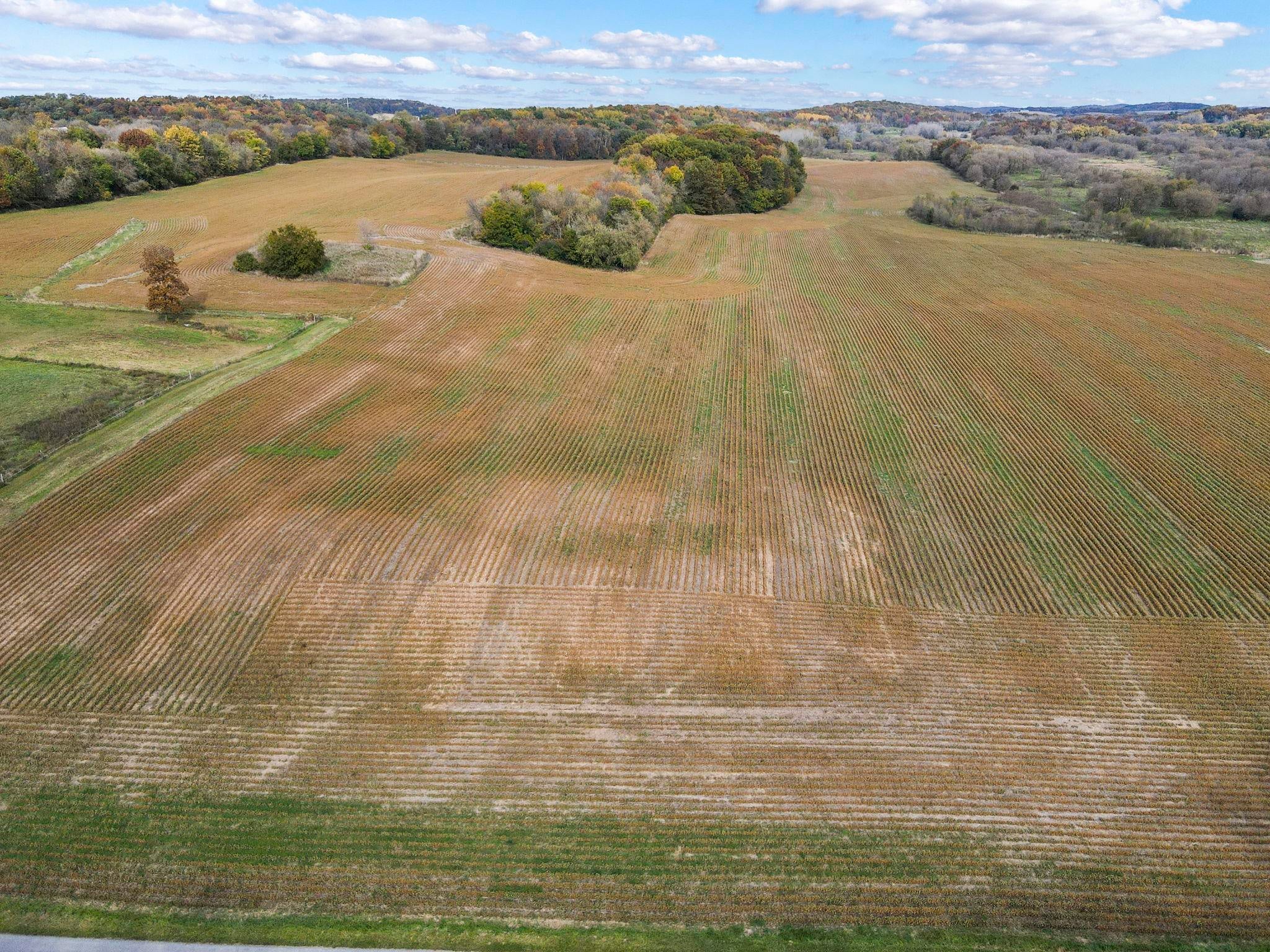 116 Acres E Medina Road