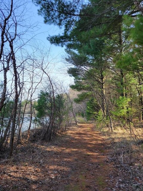 Tiny photo for L55 19th Creek, Arkdale, WI 54613 (MLS # 1966805)