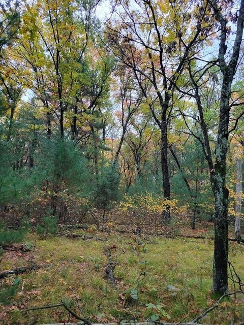 Tiny photo for L55 19th Creek, Arkdale, WI 54613 (MLS # 1966805)