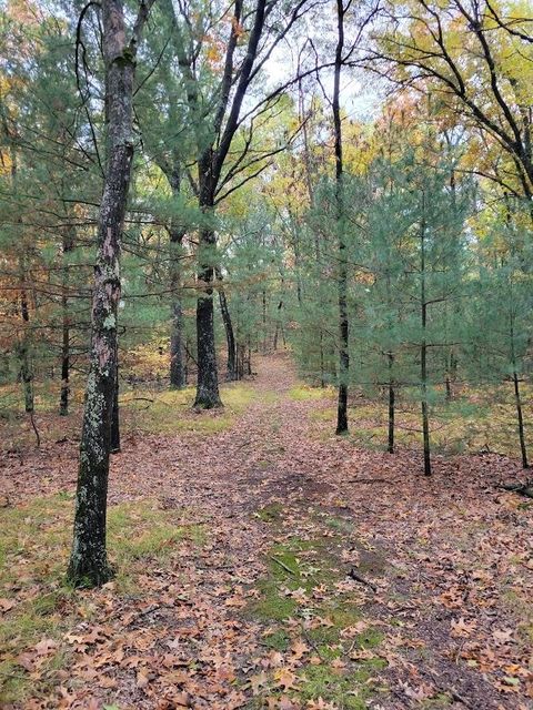 Tiny photo for L55 19th Creek, Arkdale, WI 54613 (MLS # 1966805)