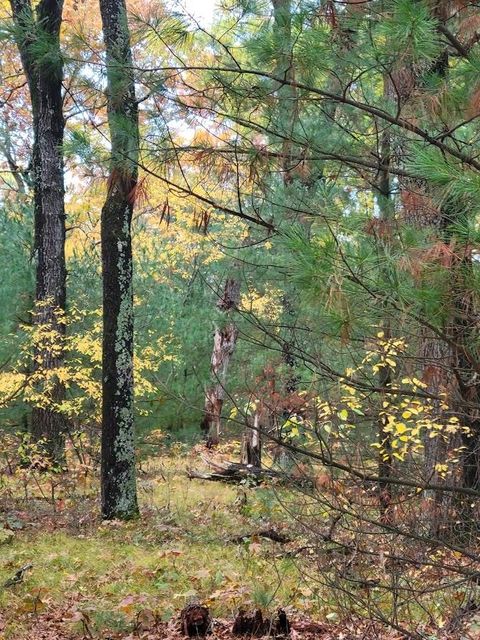 Tiny photo for L55 19th Creek, Arkdale, WI 54613 (MLS # 1966805)